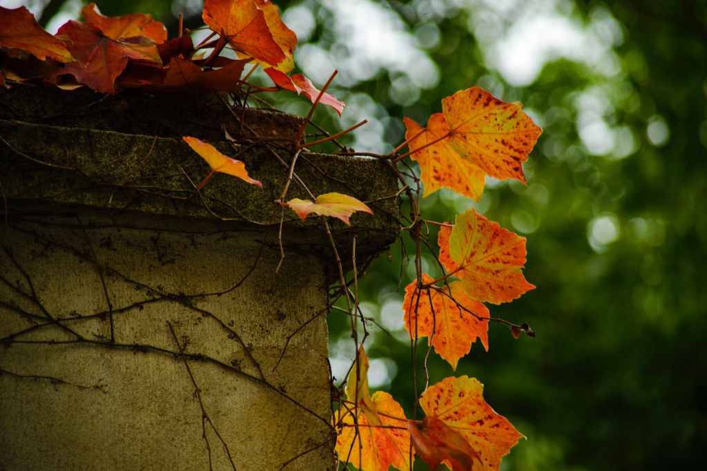 August 2023 Horoscope&nbsp;Predictions